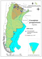 Libidibia paraguariensis